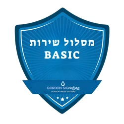 מסלול שירות BASIC