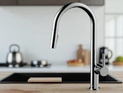 ברז מטבח קרלוס ניקל