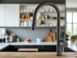 ברז מטבח קרלוס שחור מט