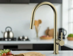 ברז מטבח קרלוס זהב מוברש